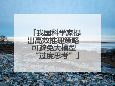 我国科学家提出高效推理策略 可避免大模型“过度思考”